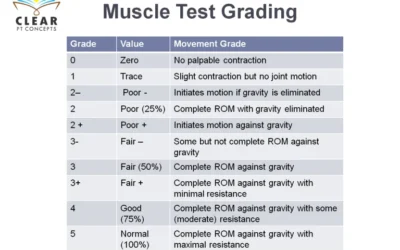 Manual muscle testing