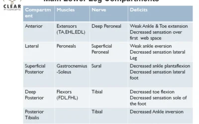 Lower Leg Compartments