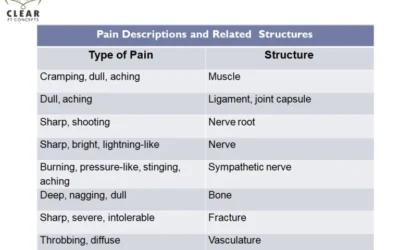 Types of Pain