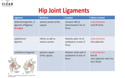 Hip joint Ligaments