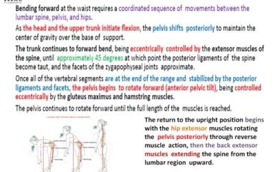 Lumbopelvic Rhythm
