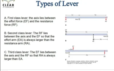 Types of Lever